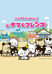 аниме Uchi no Tama Shirimasenka?